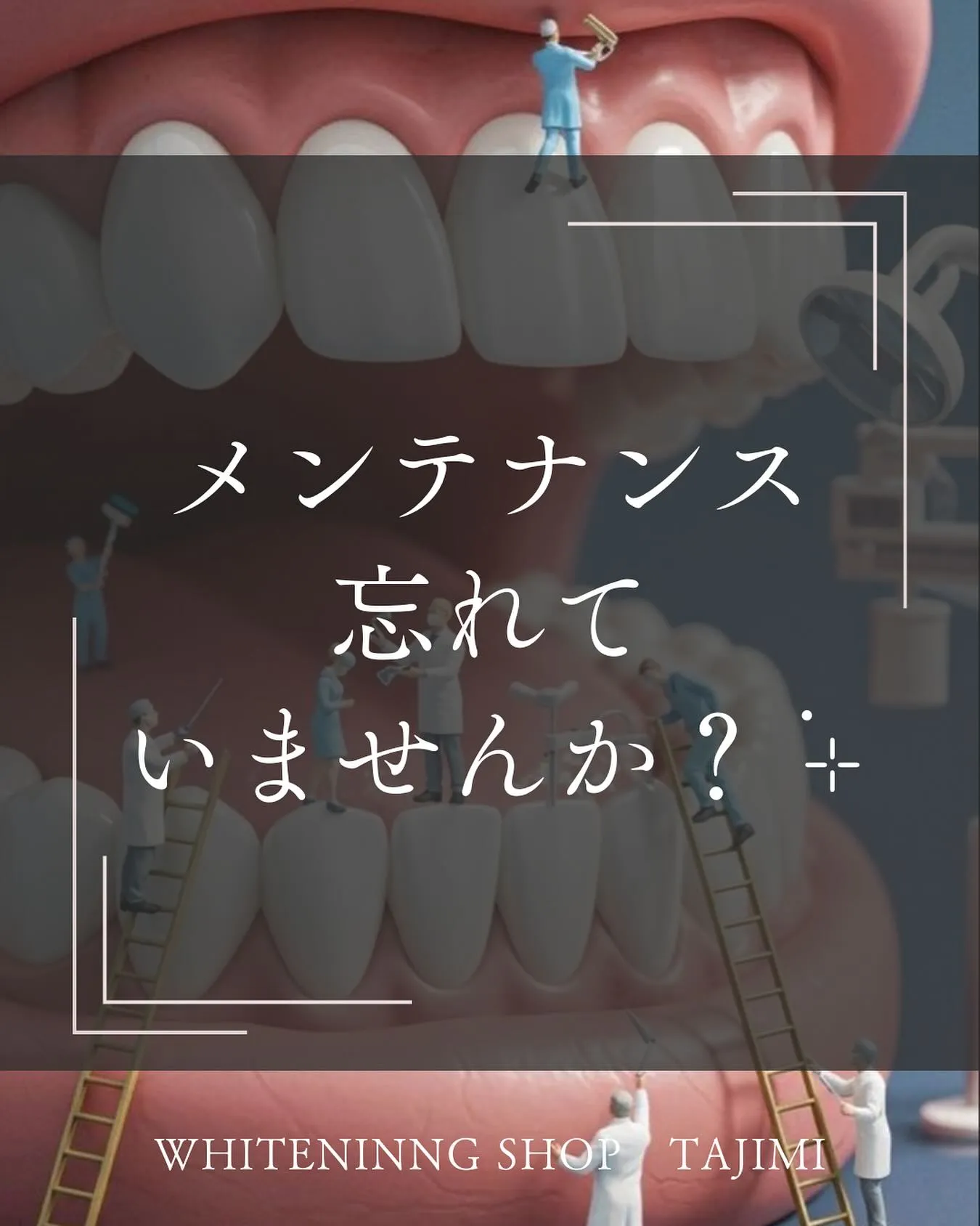 メンテナンスはとても大切˖ ࣪⊹