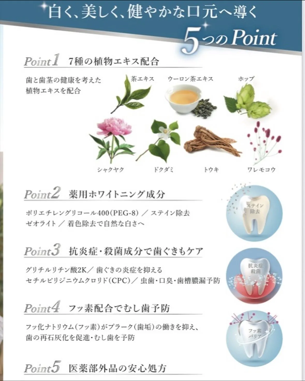 レイディホワイト˖ ࣪⊹