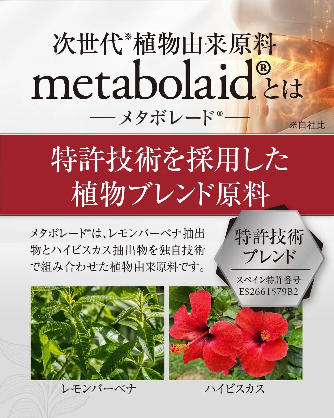 ついにサロンに話題の